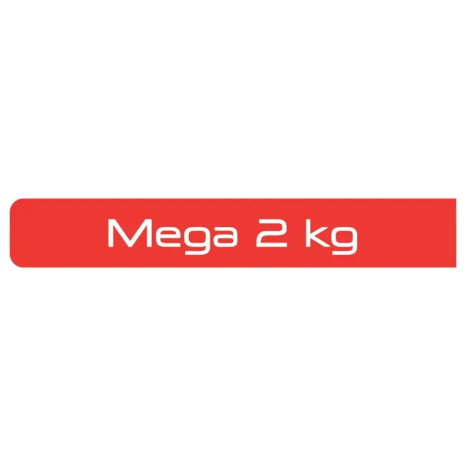 FR4800 Mega 2kg Fryer — image 11