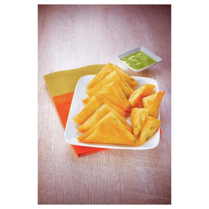FR4800 Mega 2kg Fryer — image 4