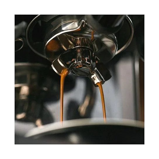 Sage the Barista Touch — image 5