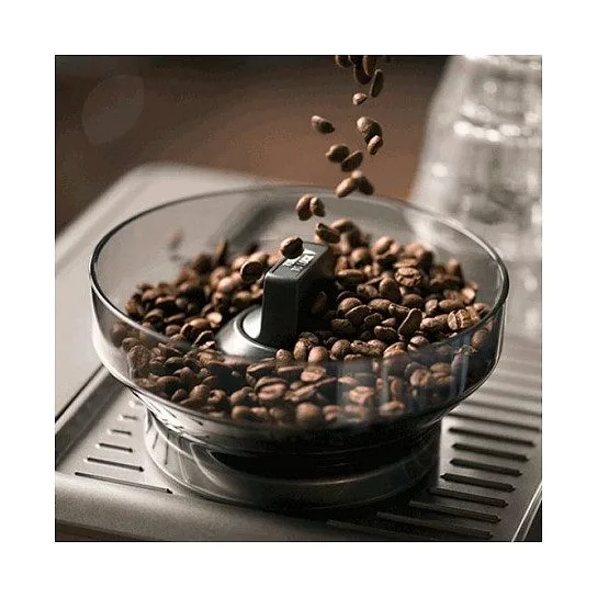 Sage the Barista Touch — image 6