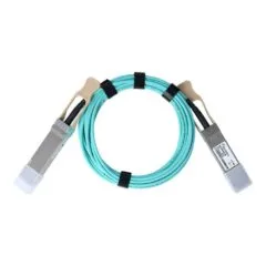 BlueOptics AOC-Q-Q-100G-5M-BO InfiniBand/fibre optic cable