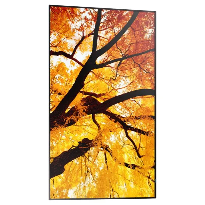 Sharp MultiSync M322 Digital Signage Display 80 cm 32 inches — image 9