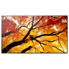 Sharp MultiSync M982 Digital Signage Display 247.7 cm 98 inches