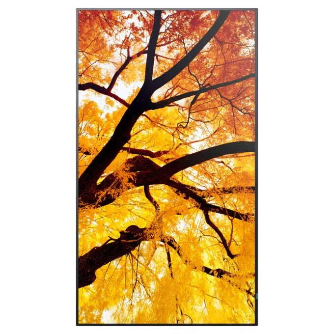 Sharp MultiSync M982 Digital Signage Display 247.7 cm 98 inches — image 2