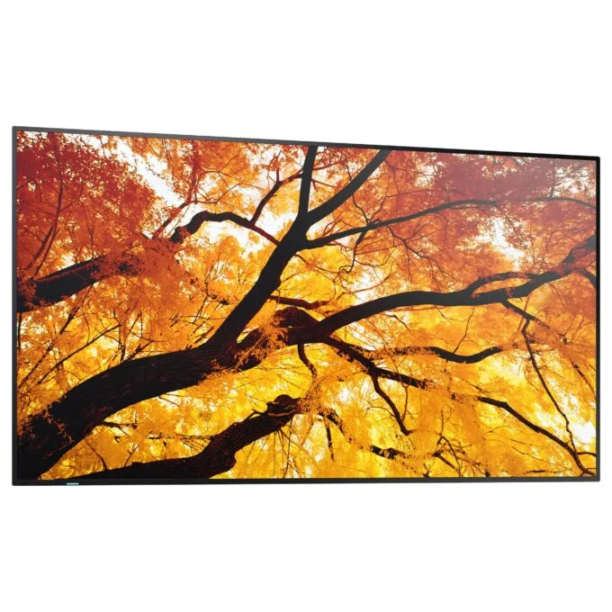 Sharp MultiSync M982 Digital Signage Display 247.7 cm 98 inches — image 3