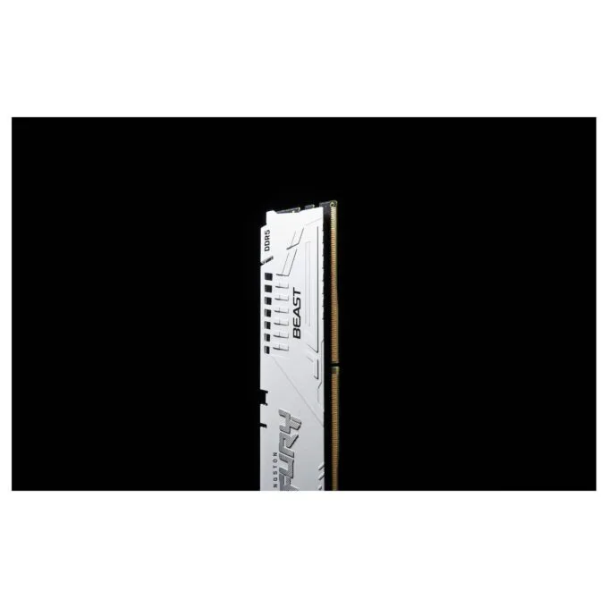 Kingston Technology FURY Beast memory module — image 9