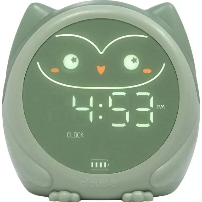 Cloud B Owlie — image 1