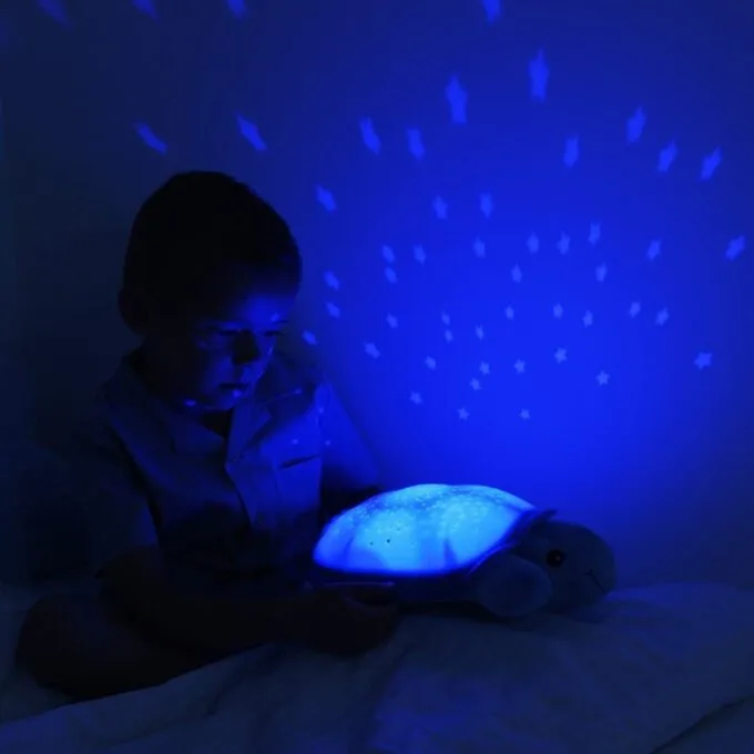 Cloud b Twinkling Twilight Turtle Turtle Blue — image 5