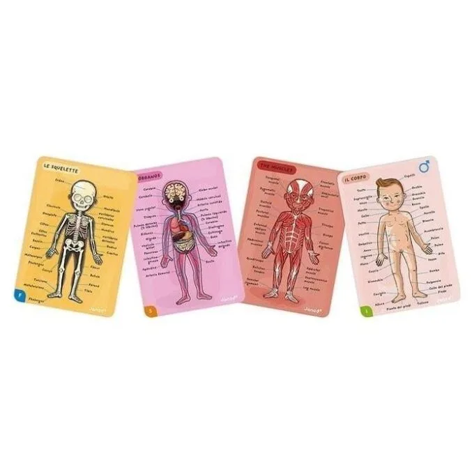 Janod Jigsaw Magnetic Body of Man J05491 — image 13