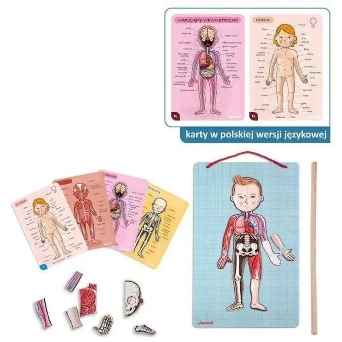 Janod Jigsaw Magnetic Body of Man J05491 — image 2