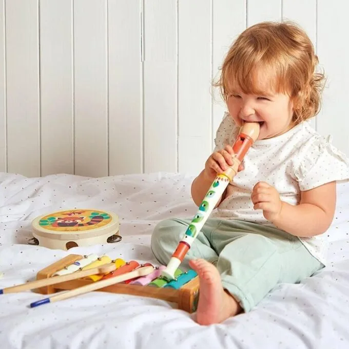 Janod Gioia Music Toys Set — image 8