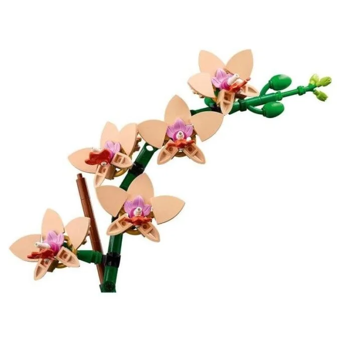 LEGO Botanical Collection 10343 Small orchid — image 3