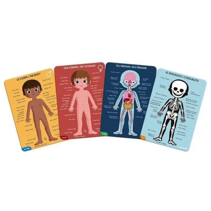 Johnod Body of Man 50, 75 and 100 el. — image 2