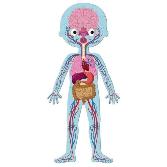 Johnod Body of Man 50, 75 and 100 el. — image 5