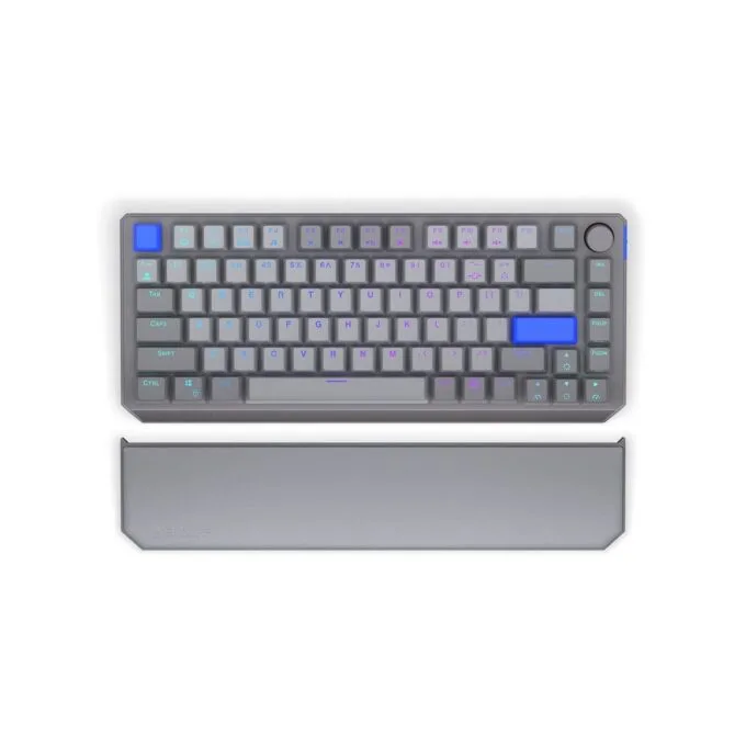 ENDORFY Thock 75% Palm Rest V2 — image 9