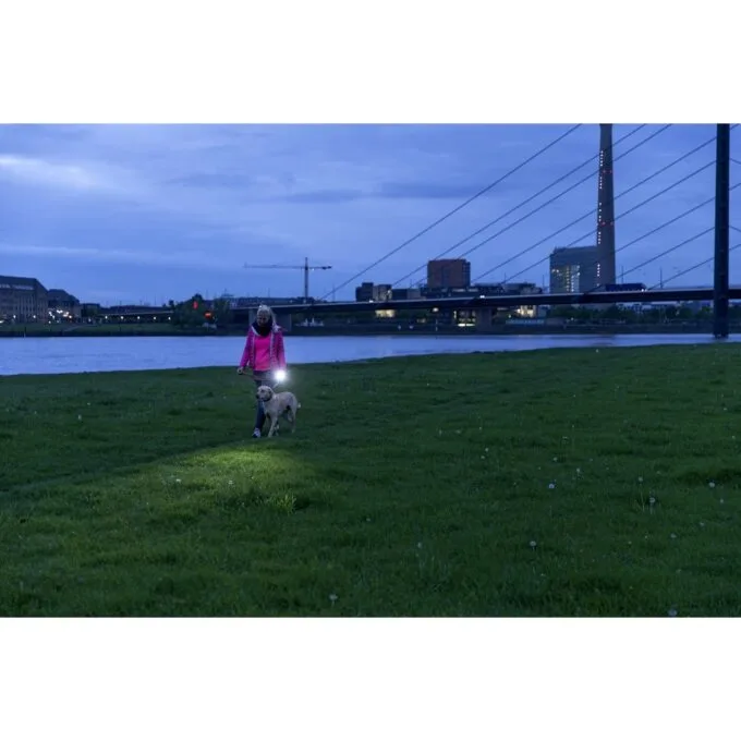Ledlenser P7R — image 10