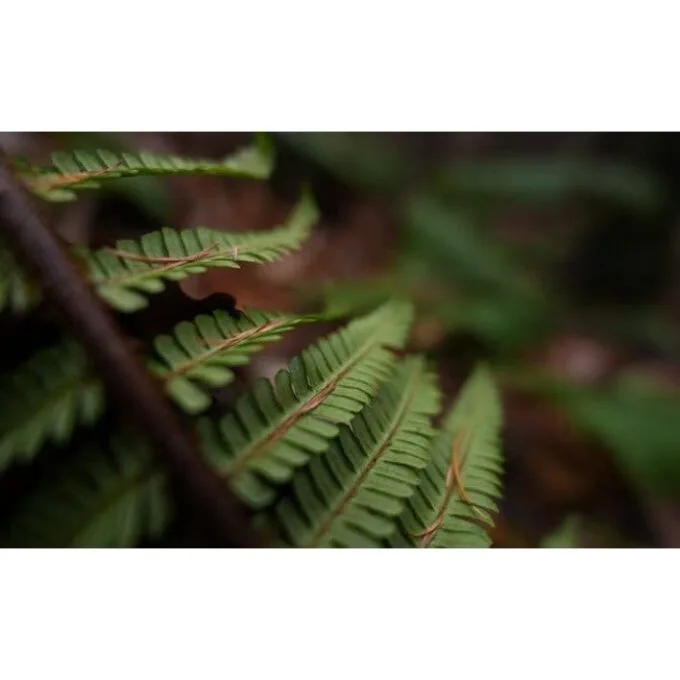 Sony FE 16mm F1.8 G attachment type E — image 9