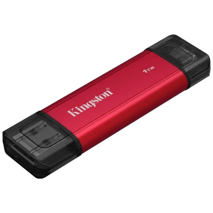 Kingston SSD DualPortable 1TB — image 1