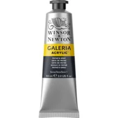 W&N GALERIA ACRYLIC COLOUR 60ML TBE PAYNE S GRAY
