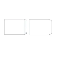 WHITE ENV .P & S 250X176MM 100 GSM 500 PCS BOX