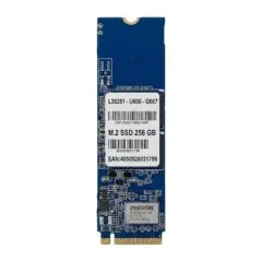 SSD - 256 GB - internal - M.2 - M.2 Card