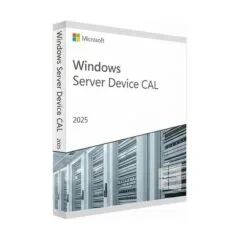 Microsoft WINSVR CAL 2025 10Device