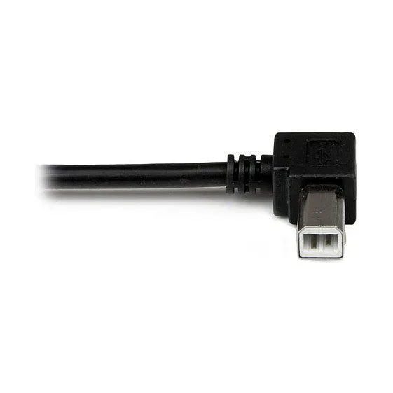 StarTech.com 2m USB 2.0 A - B USB cable — image 5