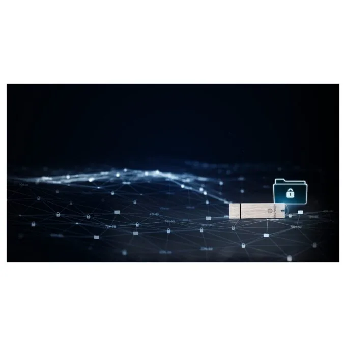 Kingston Technology IronKey S1000 USB flash drive — image 12