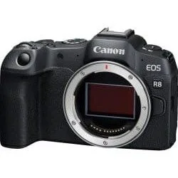 Canon EOS R8 + RF24-105 F4-7.1 IS STM EU26 — image 2