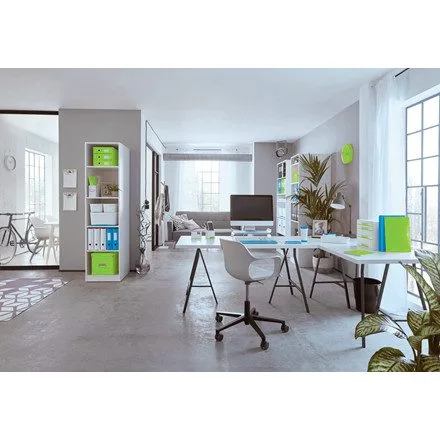 Leitz CS A4 green universal box — image 3