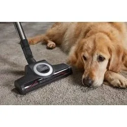 Miele Blizzard CX1 Cat&Dog Powerline red — image 7