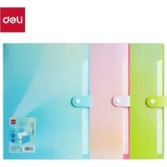 DELI EXPANDING FILE WITH DIVIDERS AND SNAP BUTTON A4 8P 3C ASSORTED