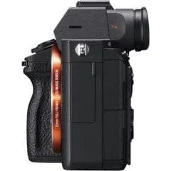 Sony Alpha ILCE-7 Mark III + Sony SEL lens 28-70 mm f/3.5-5.6 OSS II — image 9