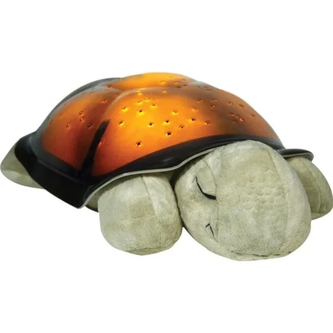 Cloud B Brown Turtle — image 3