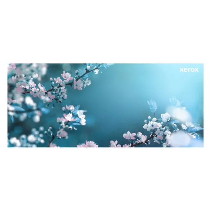Xerox 006R04357 toner cartridge — image 12