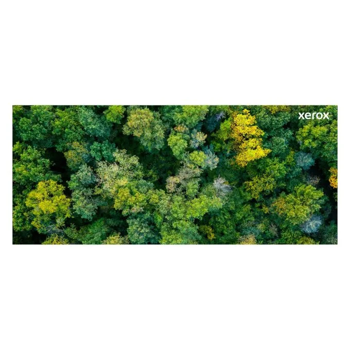 Xerox 006R04357 toner cartridge — image 13
