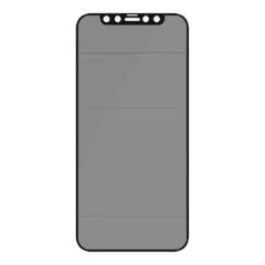 PanzerGlass E2E iPhone 12/12 Pro, CF, Privacy Antibakt.