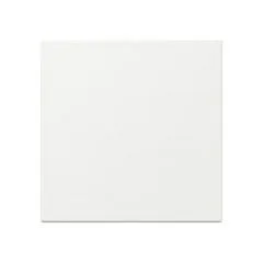 GIRA 349603 electrical switch accessory
