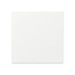 GIRA 349627 electrical switch accessory