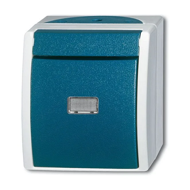Busch-Jaeger 2601/6 WGL-53 — image 1