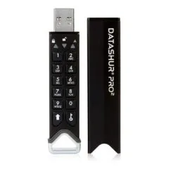 iStorage datAshur PRO2 - 4GB USB 3.2 Gen 1 - IS-FL-DP2-256-4