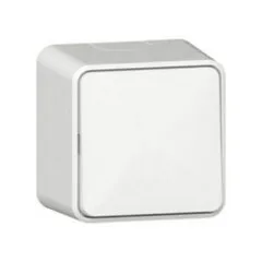 GIRA 310613 electrical switch