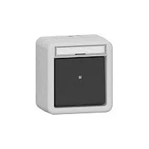 GIRA 311630 electrical switch
