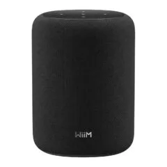 WiiM Sound LITE