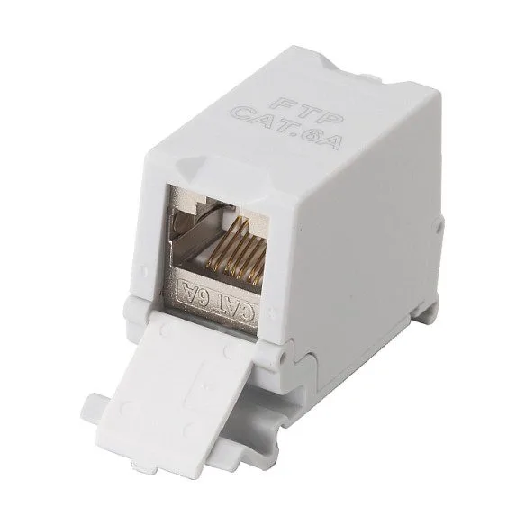 Equip 125581 keystone module — image 1