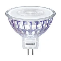 Philips by Signify CorePro LED bulb