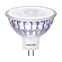 Philips by Signify MASTER LED 30732200 LED bulb