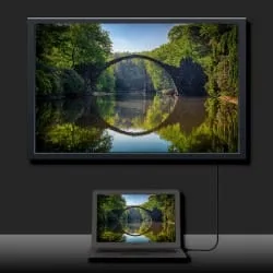 Qoltec DisplayPort v1.2 męski | DisplayPort v1.2 męski | 5K | 1.5m — image 6