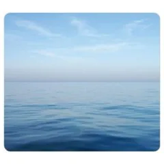 Fellowes Earth Ocean