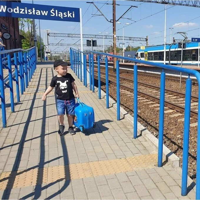 Nickelodeon Psi Patrol - niebieska mała — image 7